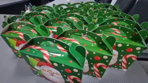 saruri de craciun (7)