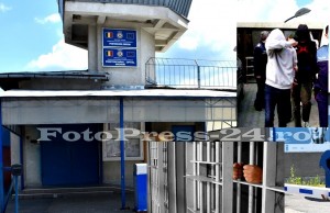 trimişi-dupa-gratii1