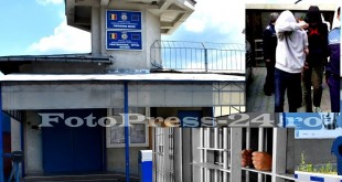 trimişi-dupa-gratii1