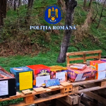 utilizarea articolelor pirotehnice (2)