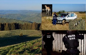 PerchezitiiBraconaj ARGES