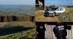 PerchezitiiBraconaj ARGES