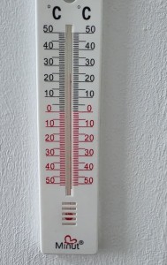 Spitalul Sf.Andrei din Valea Iașului-Argeș (5)