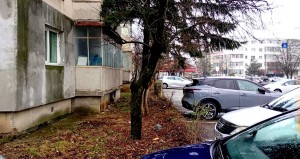 controale politia locala pitest (1)