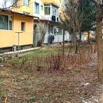 controale politia locala pitest (2)