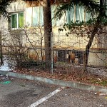 controale politia locala pitest (3)