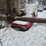 copac cazut pe auto dambovicioara (2)