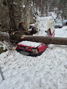 copac cazut pe auto dambovicioara (2)