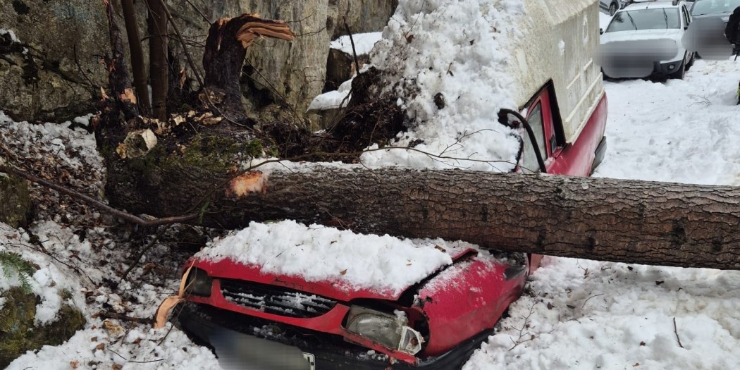 copac cazut pe auto dambovicioara (2)