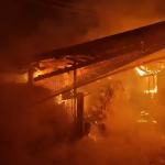 incendiu adăpost animale Albeștii de Argeș (1)