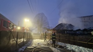 incendiu adăpost animale Albeștii de Argeș (1)