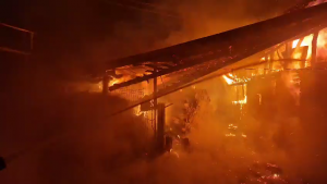 incendiu adăpost animale Albeștii de Argeș (1)