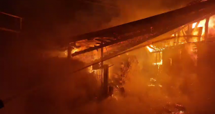 incendiu adăpost animale Albeștii de Argeș (1)