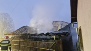 incendiu adăpost animale Albeștii de Argeș (2)