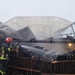incendiu adăpost animale Albeștii de Argeș (3)
