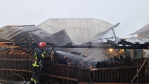 incendiu adăpost animale Albeștii de Argeș (3)
