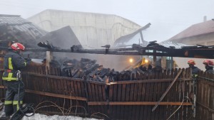 incendiu adăpost animale Albeștii de Argeș (5)