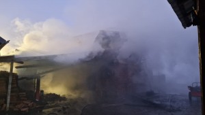 incendiu adăpost animale Albeștii de Argeș (6)