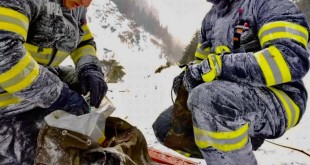 temperaturi deosebit de scazute arges