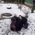 vioplenta costesti arges (2)