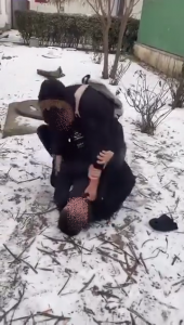 vioplenta costesti arges (3)