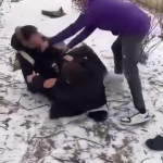 vioplenta costesti arges (4)