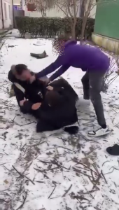 vioplenta costesti arges (4)