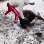 vioplenta costesti arges (6)