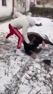 vioplenta costesti arges (6)