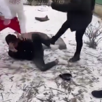 vioplenta costesti arges (7)