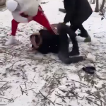 vioplenta costesti arges (9)