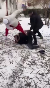 vioplenta costesti arges (9)