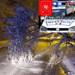 Biroul de Presă al STS