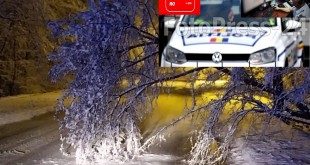 Biroul de Presă al STS