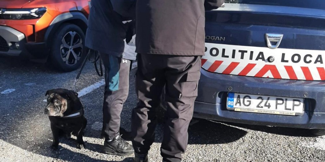 Controale ale Poliției Locale Pitești în parcuri (2)