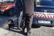 Controale ale Poliției Locale Pitești în parcuri (2)