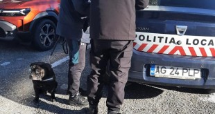 Controale ale Poliției Locale Pitești în parcuri (2)
