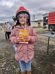 Pichetul de Pompieri Vedea (10)