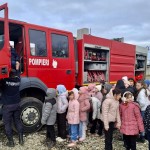 Pichetul de Pompieri Vedea (7)