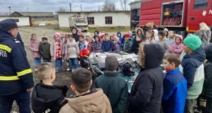 Pichetul de Pompieri Vedea (8)