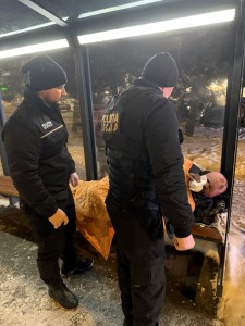 Poliția Locală Pitești (2)