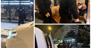 Poliția Locală Pitești