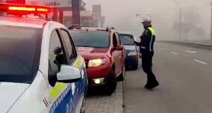 auto-pregatite-pentru-iarna-2