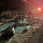 copaci si masini distruse (2)