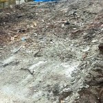 disciplina în construcții (2)