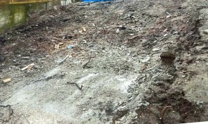 disciplina în construcții (2)