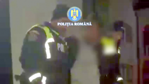 distrugere prin incendiere (1)