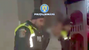 distrugere prin incendiere (2)