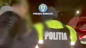 distrugere prin incendiere (4)