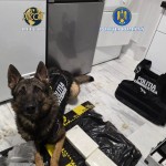 droguri de mare risc (1)